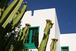 Lanzarote - Canary Islands - scuba diving holiday. Nazaret Self Catering Apartments.